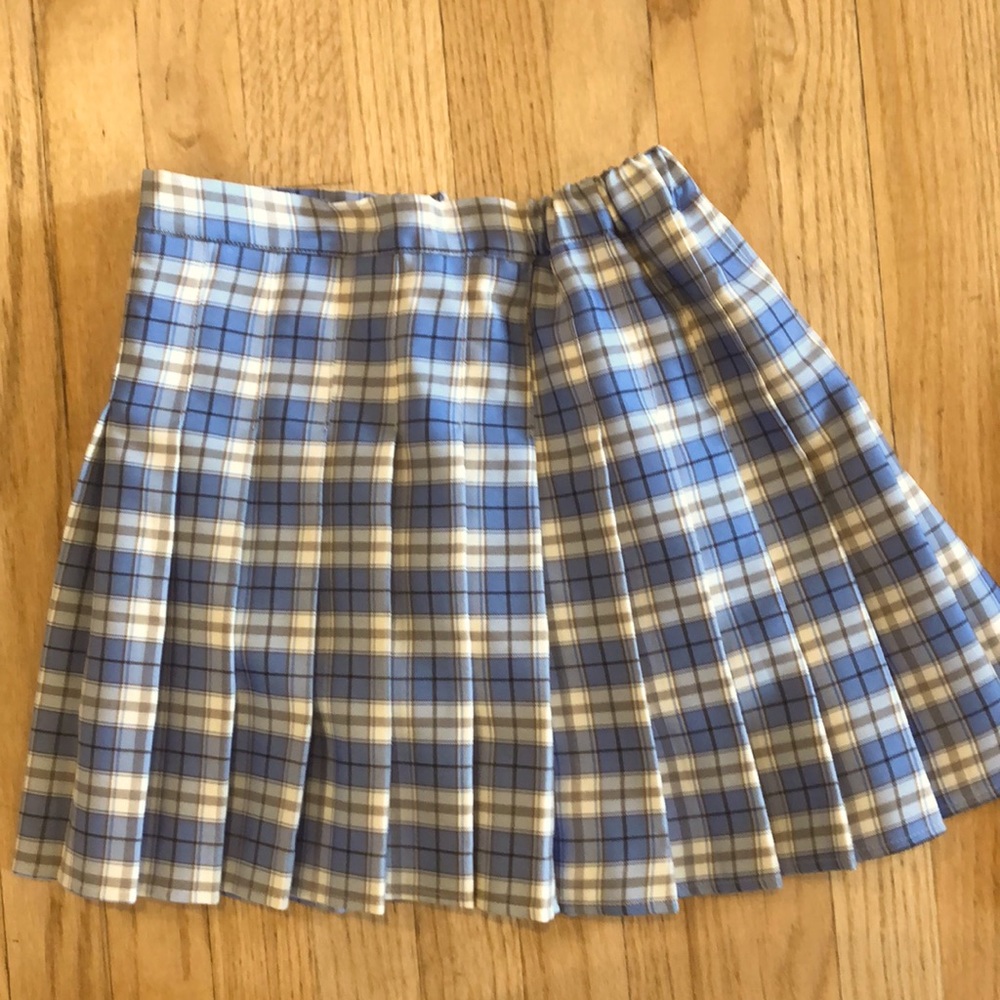 Blue and White Plaid Pleated Skirt